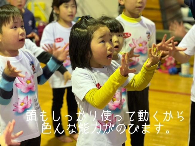 「なんでもできる子！【豊明市で総合力のつくスポーツ教室といえば、40年続くS.A.C.！開校以来ご自宅までの送迎を行なっております。】」