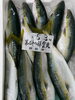 「岩船産コシヒカリ販売中です‼️」