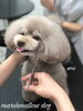 「秋のオプションキャンペーン　（╹◡╹）」