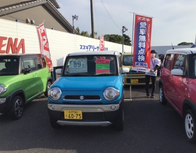 「【水戸】愛車無料点検を実施中です【自動車】」