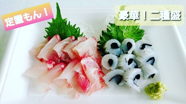 本日のお刺身 定置もん 島根県産コショウダイ アオリイカ 寺津屋 仕出し 会席料理のニュース まいぷれ 松江