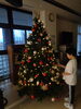 「🎄ツリー点灯式～すてきな飾り付け～🎅」