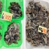 「魚魚市場鮮魚コーナーおすすめは「ツキヒガイ・マテ貝」です♪」