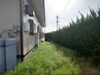 写真③家の周囲に草が生えてしまい・・・「第１報：防草工事／雑草対策／ガラタイル張り／土舗装　　島根県　出雲市」