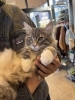 また遊びに来てね😻「大阪から可愛いお客様が来てくれました❣️ ジムわん　ジムニャン　遠方からのご来店ありがとうございます❗️ 看板犬のいるお店　スズキ自販愛媛」