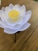 「お盆がきますよー٩(*´︶`*)۶斐川町　仏壇」