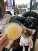 シエラちゃんとゼリー😋「皆さん差し入れありがとうございます🩵」