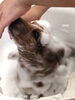 安ちゃ〜ん　ぶるぶるしないでぇ〜　(笑)「秋のオプションキャンペーン　（＾ν＾）」