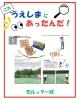 「第二弾‼️『これ！うえしまにあったんだシリーズ』」