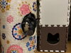 「春の足音」