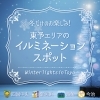 【2024年】冬だけのお楽しみ！東予エリアのイルミネーションスポット