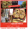 「はじまりました♪【ミニチュア太鼓台展示inペルルコットン】」