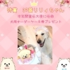 「わんわんフォトコンテスト結果発表♪」