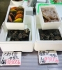 「魚魚市場鮮魚コーナーおすすめは「ワタリガニ・あげ巻き貝」です♪」