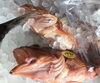 「魚魚市場鮮魚コーナーおすすめは「シマアジ」です♪」