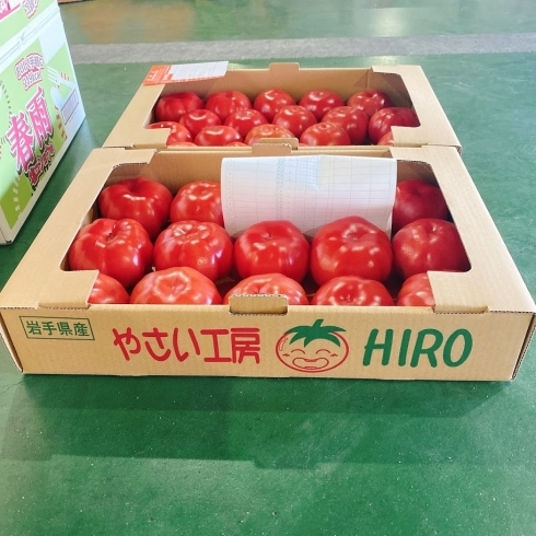 「今年も「やさい工房HIRO」さんの「トマト」の出荷が始まりましたよー！！」