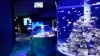 南の水族館「Webマガジン「旅ポケット｣に掲載されました！」