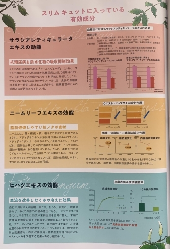 柳井市で癒しを あのスリムキュットお試しできちゃいます カイロプラクティックサロン よつばのニュース まいぷれ 岩国 柳井 周防大島 和木 大竹