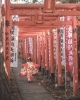 「【お悩み解決！】753の写真はいつ撮ればいいの？　着物はいつレンタルしたらいいの？」