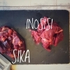わんこお肉