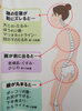 猫背は美容へ大影響(*﹏*;)「背中がまるまる(｡•́︿•̀｡)」