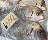 「魚魚市場鮮魚コーナーおすすめは「うちわエビ」です♪」