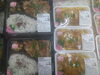 お弁当の特注も承ります。まずはご相談を！「手作り弁当が出来ました！特注も承ります！」