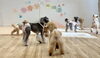 まるくん横入り　注意するこなつ　笑「ましゅまろ幼稚園🐾」