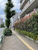 「やさしさに包まれたなら/荒井由実　ブルーライト・ヨコハマ/いしだあゆみ　みんなで歌謡ポップス」