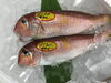 「魚魚市場鮮魚コーナーおすすめは「しらす・ウメイロ」です」