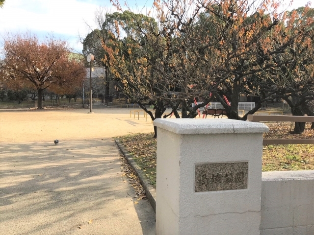 高津公園 こうづ 谷町九丁目 大阪市中央区の公園特集 まいぷれ 大阪市中央区 高津公園 こうづ 谷町九丁目 大阪市中央区の公園特集 まいぷれ 大阪市中央区