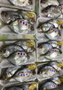 「魚魚市場鮮魚コーナーおすすめは「イサキ・ヒラアジ」です♪」