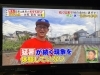 35℃以上が続けばさすがに夏野菜も耐えられません。「☆『林修の今知りたいでしょ！』無事にオンエア！」