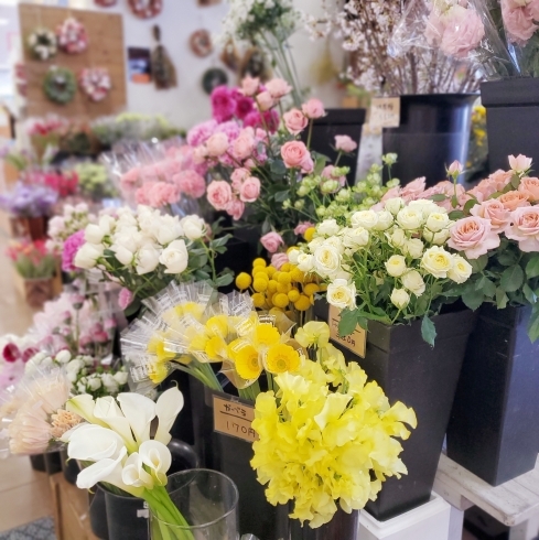 「【はなやホック皆生店】Spring　Flowers」