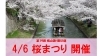 【4/6】第19回 桃山語り部の道『桜まつり』