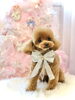 くうくん／プードル「MerryXmas ^o^」