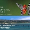 2020　特定社会保険労務士・行政書士・独立型社会福祉士事務所　オフィスきもと