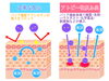 カイロプラクティック×スキンケアで健康な肌へ「アトピー性皮膚炎を改善！姿勢調整とスキンケアで健やかな肌へ」