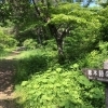【盛岡】啄木詩の道
