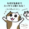 「身体だけじゃなく心まで軽くなる！猫丸ドライヘッドスパでストレスさよなら（=^ェ^=) 整体・オイル・リーディング・占い・顔そり・氣功」