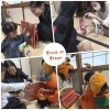 ドアをトントンして「トリックオアトリート!」「ハロウィンリトミック&パーティー🎃楽しいゲームもいっぱい❗️笑顔あふれるトリックオアトリート【京都市南区&下京区のピアノ・リトミック・英語リトミック・ベビーリトミック】」
