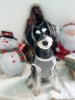 12月のお写真🎄.*「12月営業日[年末ご予約枠空きあります.•♬]」