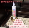 春のお彼岸キャンペーン中「今日はひな祭り٩꒰๑❛▿❛  ॢ̩꒱斐川町 仏壇」
