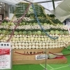 農業・伝統産業展♪『第38回葛飾区産業フェア』それ、葛飾でできるよ！ ～農業・伝統産業展～開催！