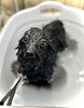 ナノマイクロバブルで入浴中〜🛀「はじめまして　サロンデビューです」