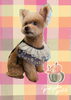 「Dog salon mofu mofu　余市町」