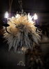 「【botanical chandelier】」