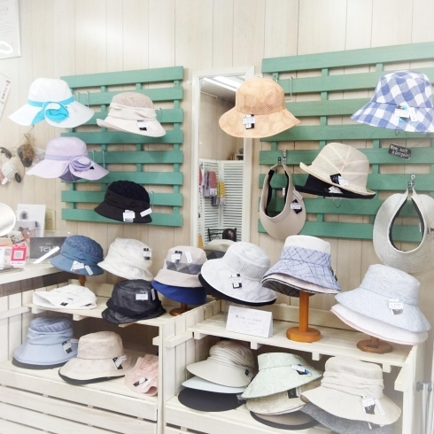 爽やかな白とブルー 。  暑い夏におすすめ✨「帽子専門店  テル」
