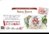 生まれて40日までの赤ちゃん撮影無料 アニーズスタジオ 長岡館のニュース まいぷれ 長岡市