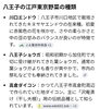 以前、川口エンドウは販売させてもらいました。今回、2つ目、八王子ショウガ！残すは１つ高倉ダイコン「明日、超貴重な「八王子ショウガ」入荷します。販売する私も貴重します。八王子の江戸東京野菜の１つ。貴重すぎる貴重。今後、お目にかかれるのはいつかな？ぐらいな貴重品が入荷します。八日町2-3　八王子スカイホテル1F802SKYSHOP　八王子」